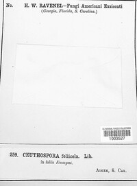 Image Associated With the Occurence